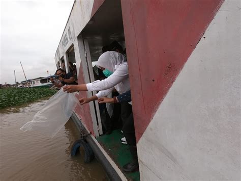 Air Sungai Musi Pasang Wakil Walikota Palembang Lepaskan Ribuan Ikan