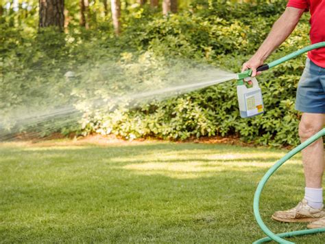 Why Spring Is The Best Time For Lawn Fertilization And Weed Control