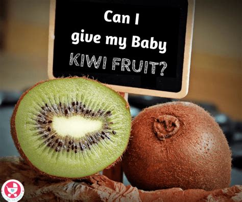 Can I give my Baby Kiwi Fruit?