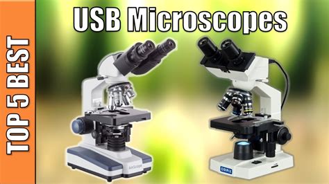 Usb Microscopes 5 Best Usb Microscopes 2020 Youtube