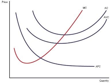 Eco Ch Production Costs And Industry Structure Flashcards