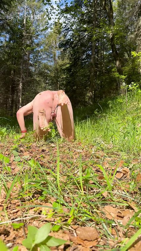 Vidéos porno gratuites Gay Dans La Forêt xHamster