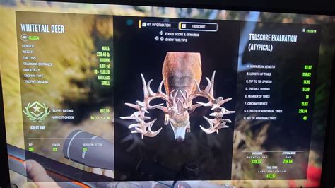 How do you download mods for COTW? : r/theHunter