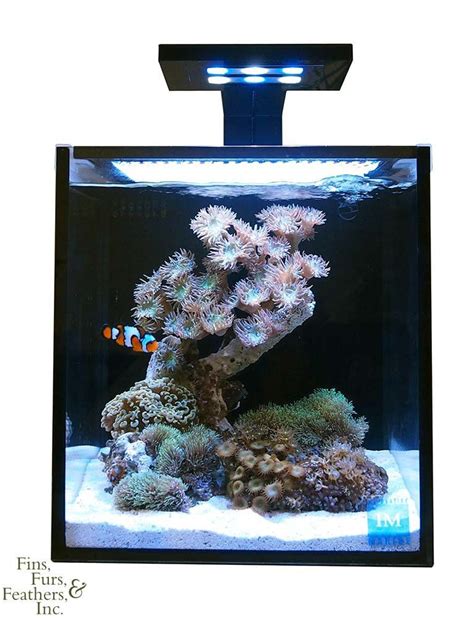 Amazon Innovative Marine Nuvo Fusion Nano Premium 10 Gallon