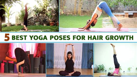 5 Best Yoga For Hair Growth Yoga Pose For Hair Growth Yoga Asanas