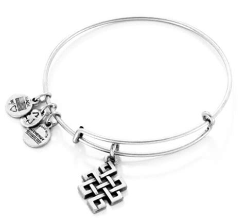 Alex And Ani Endless Knot Charm Gift For Her In Rafaelian Silver