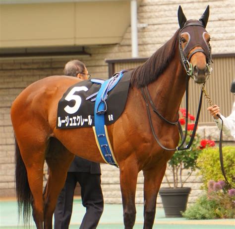 5月14日東京競馬⭐︎テレ玉杯⭐︎ルージュエクレール⭐︎母も祖母も白毛 公式：黒澤ひかりのキラキラ日記～magic Kiss Lovers