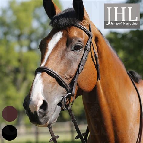 Jhl Leather Raised Cavesson Bridle With Rubber Reins Country Goodes