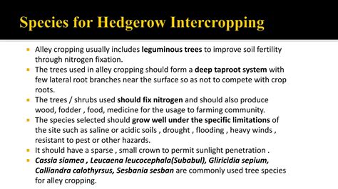 Traditional Agroforestry System in India- Shifting Cultivation, Taungya ...