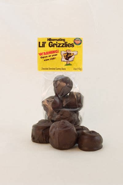 Lil Grizzlies Cinnamon Dark Cinnamon Milk Chocolate Milk Food