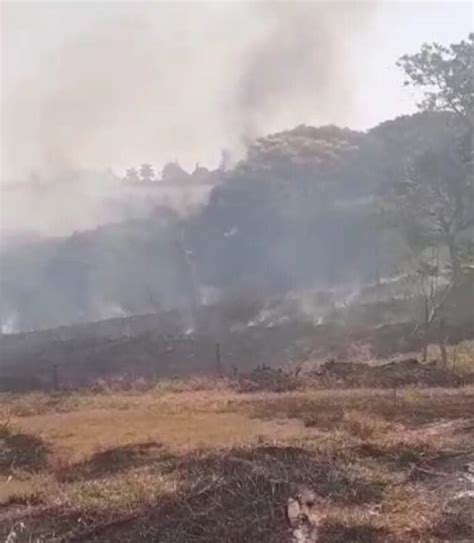 Sufoco Fogo Se Alastra Na Vegeta O Seca E Leva Quase Horas Para