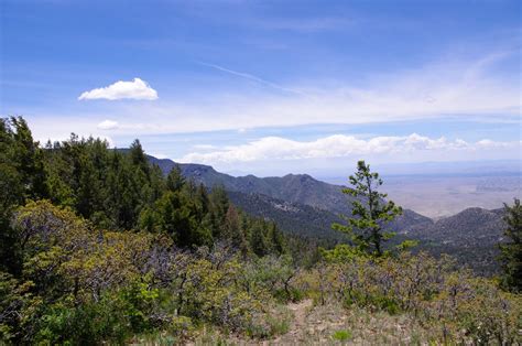 Southern New Mexico Explorer: Fourth of July Trail-Manzano Mountains ...