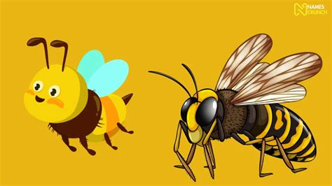 350+ Wasp Names [Funny & Cute Ideas] - Names Crunch