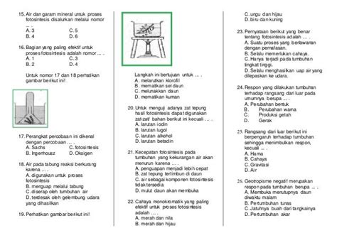 Soal Fotosintesis Dan Gerak Pada Tumbuhan K8