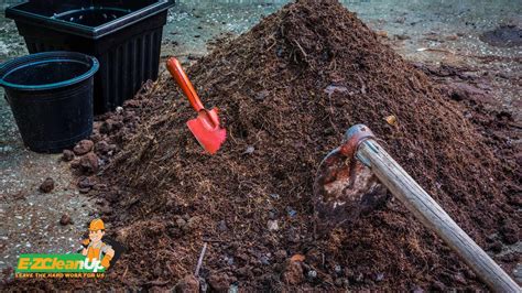 How To Dispose Of Soil What You Must Know Ez Cleanup