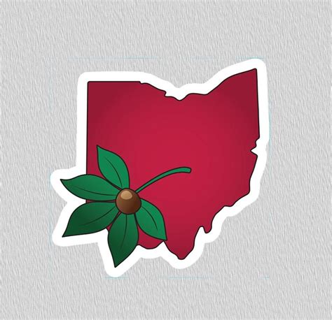 Ohio Buckeye Leaf Sticker Vinyl Sticker Laptop Stickers - Etsy