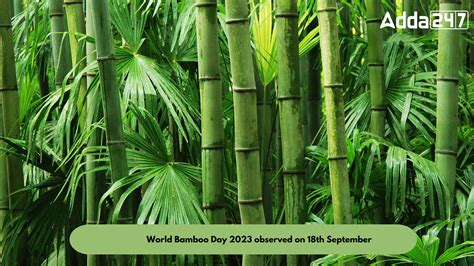 World Bamboo Day 2023 Observed On 18th September