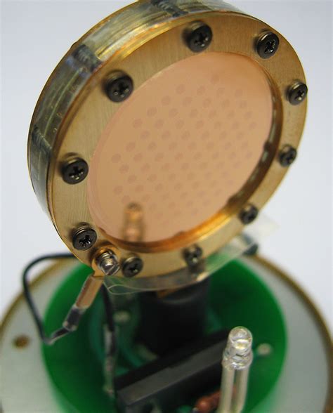 L251 Capsule