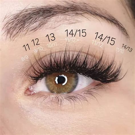 Wispy Cat Eye Lash Map Cat Eye Lash Lashes Eyelashes