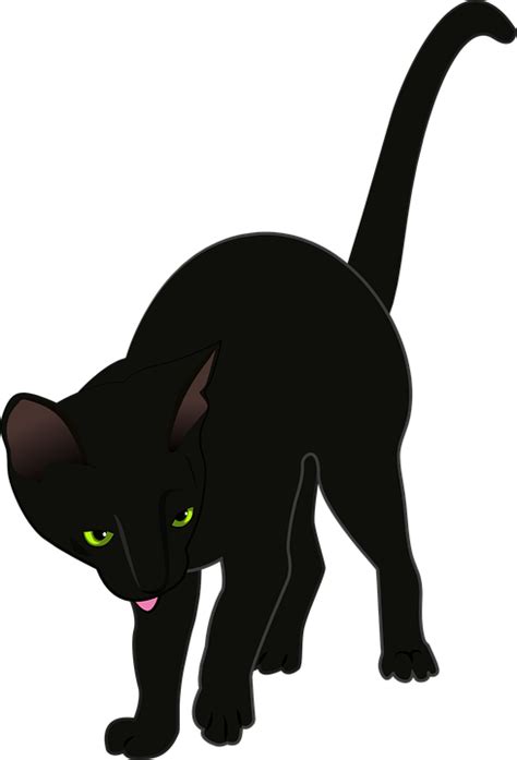 Halloween Black Cat Pictures 28 Buy Clip Art Katze Schwarz Clipart