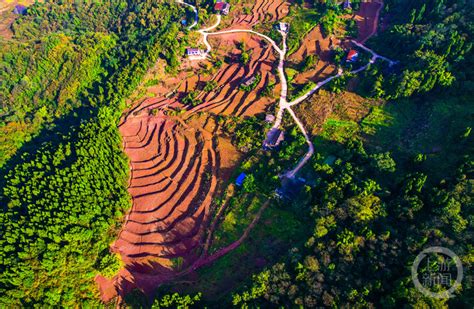 垫江：土地宜机化改造 推动农业高质高效 上游新闻 汇聚向上的力量