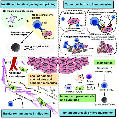 Barriers To Immunotherapy 1 Insufficient Immune Signaling And Download Scientific Diagram