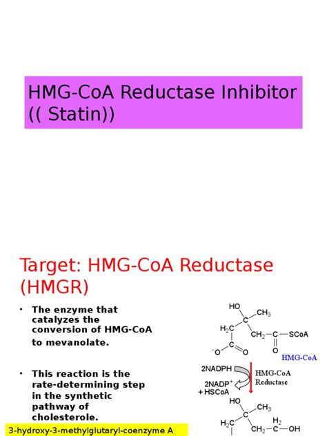 HMG-CoA Reductase Inhibitor | Statin | Organic Compounds