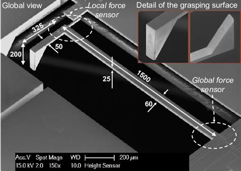 sem image   device  scientific diagram