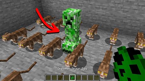 Never Spawn Creeper In This Room Youtube