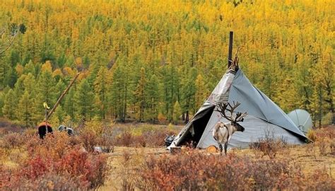 Цаатан фестиваль” ирэх сарын 7 8 нд болно