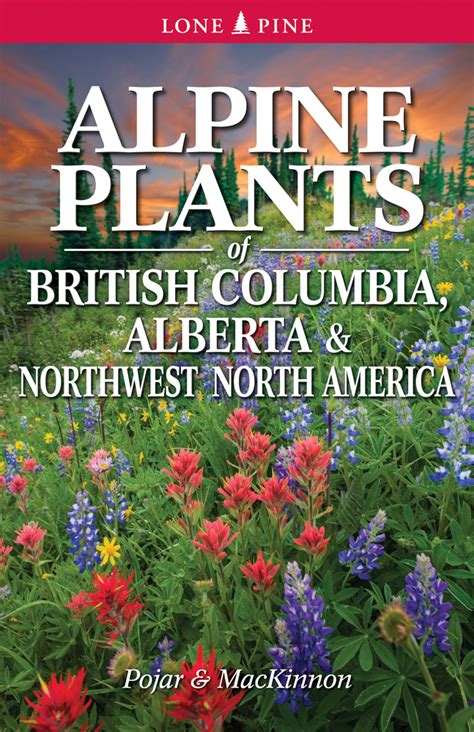 Alpine Plants Of British Columbia Alberta And Northwest North America