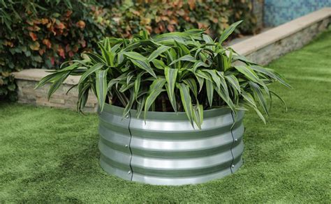 Round Corrugated Metal Planters (everything You Need to Know) - A ...