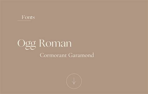 Accessorize online-shop page on Behance