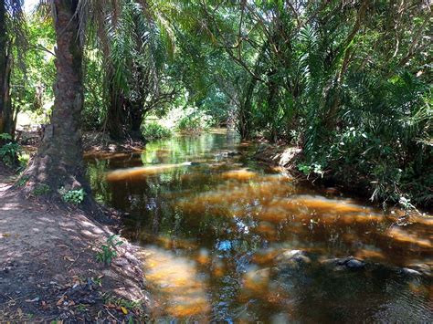 Concei O Do Jacu Pe Rea De Lazer No Rio Pojuca Necessita De Mais