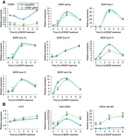 Creb Is Necessary For The Early Induction Of Exon Iic Iv Vi And