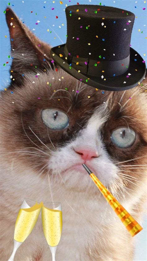 Happy New Year From Grumpy Cat Happy New Year Grumpy Cat Grumpy