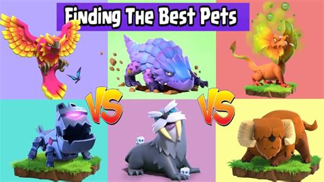 Finding The Best Pets Pets Comparison Clash Of Clans Youtube