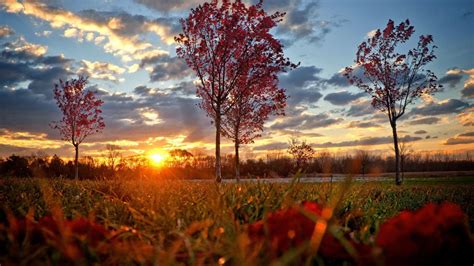 Fall Sunset Wallpapers - Top Free Fall Sunset Backgrounds - WallpaperAccess