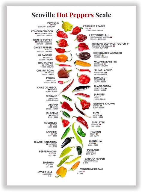 Amazon Scovill Hot Peppers Scale Poster Chilli Capsicum Knowledge