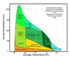 Climate - Temperate Deciduous Forest