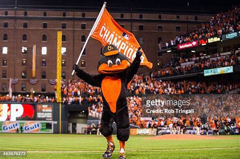 Baltimore Orioles Mascot Photos and Premium High Res Pictures - Getty Images