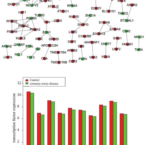 Interactions Among Degs In The Two Datasets A Protein Protein