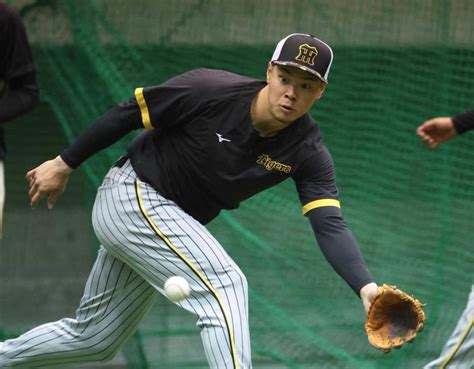 阪神・佐藤輝 降格から14日 守備は「うまくなっていると思います」 阪神タイガース デイリースポーツ Online