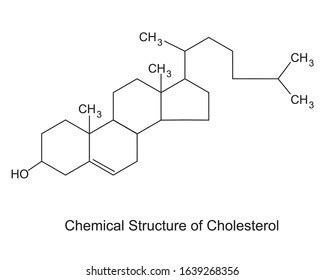 Structure Of Cholesterol Labeled