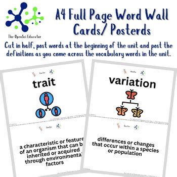 OpenSciEd 8 5 Genetics Vocabulary Word Wall 8th Grade Science TPT