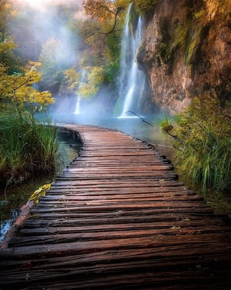 Un Camino En El Bosque Con Una Cascada Al Fondo Foto Premium