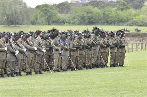 Concorso Esercito Per 2000 Vfi Bando Online I Requisiti I Profili E