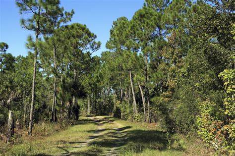 Hiking the Florida National Scenic Trail