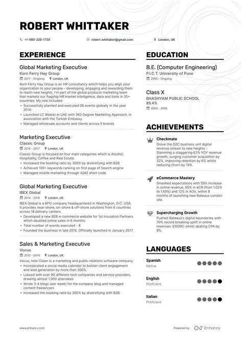 The Best 2020 Executive Resume Example Guide