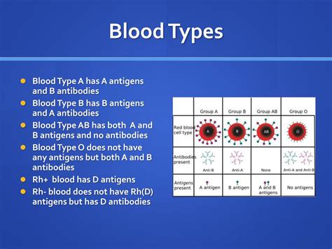 PPT - Forensic Serology PowerPoint Presentation, free download - ID:2526886